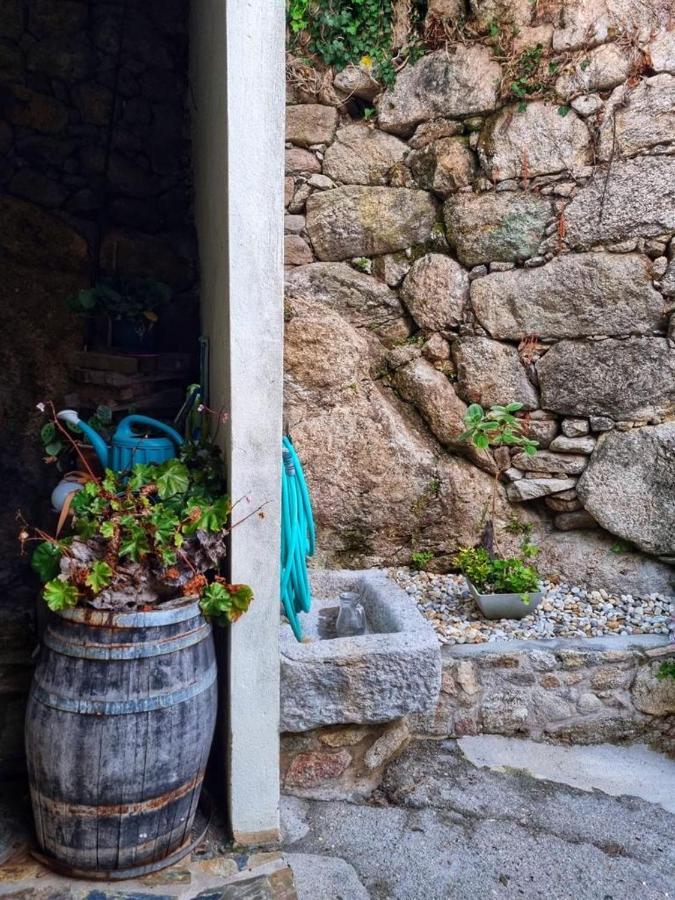 Alojamiento Casa Carlota Villadesuso Exterior foto